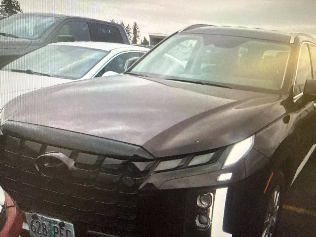 Thumbnail: 2025 Hyundai Palisade - 7