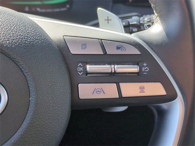 2024 Hyundai Palisade XRT 31