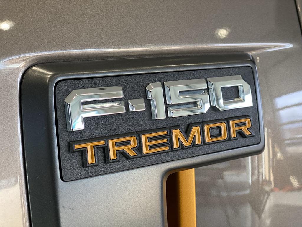 Thumbnail: 2021 Ford F-150 - 21