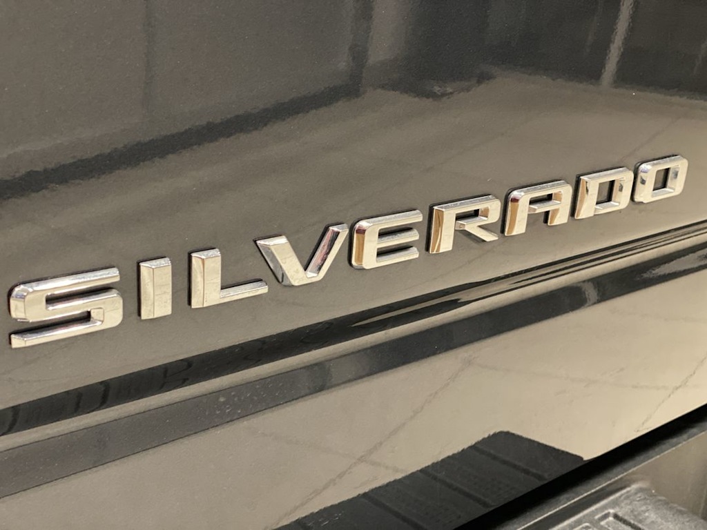 2021 Chevrolet Silverado 1500 LT 20