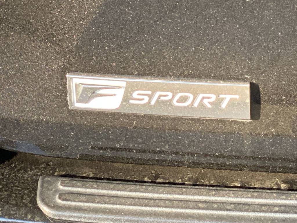 Thumbnail: 2019 Lexus RX - 22