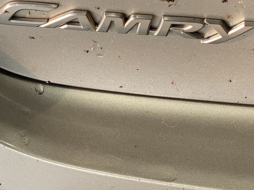 Thumbnail: 2016 Toyota Camry - 21