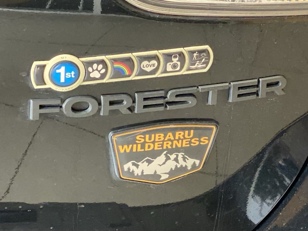 Thumbnail: 2022 Subaru Forester - 21