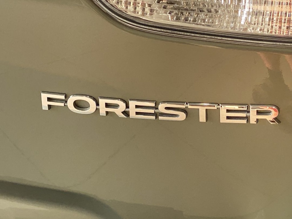 Thumbnail: 2019 Subaru Forester - 21
