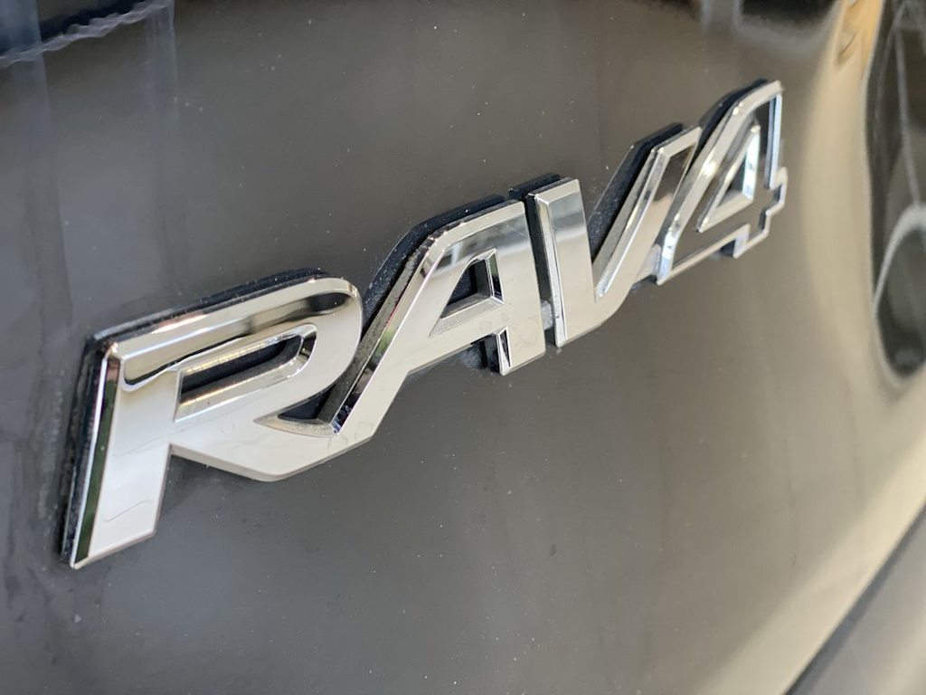 2019 Toyota RAV4 Limited 21