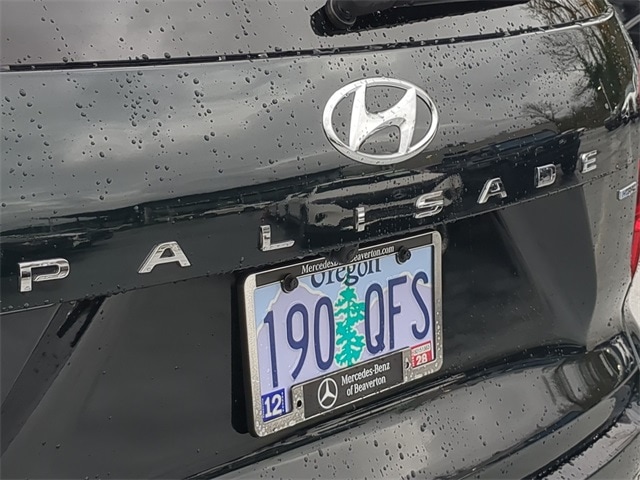 Thumbnail: 2025 Hyundai Palisade - 7