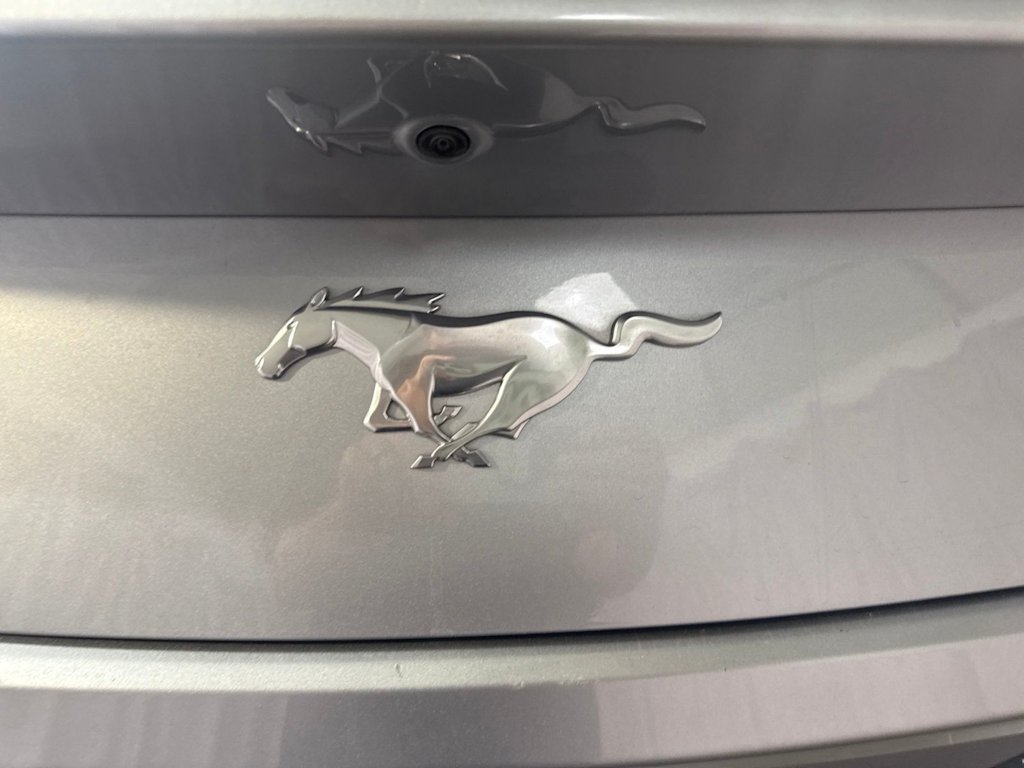 Thumbnail: 2025 Ford Mustang - 7