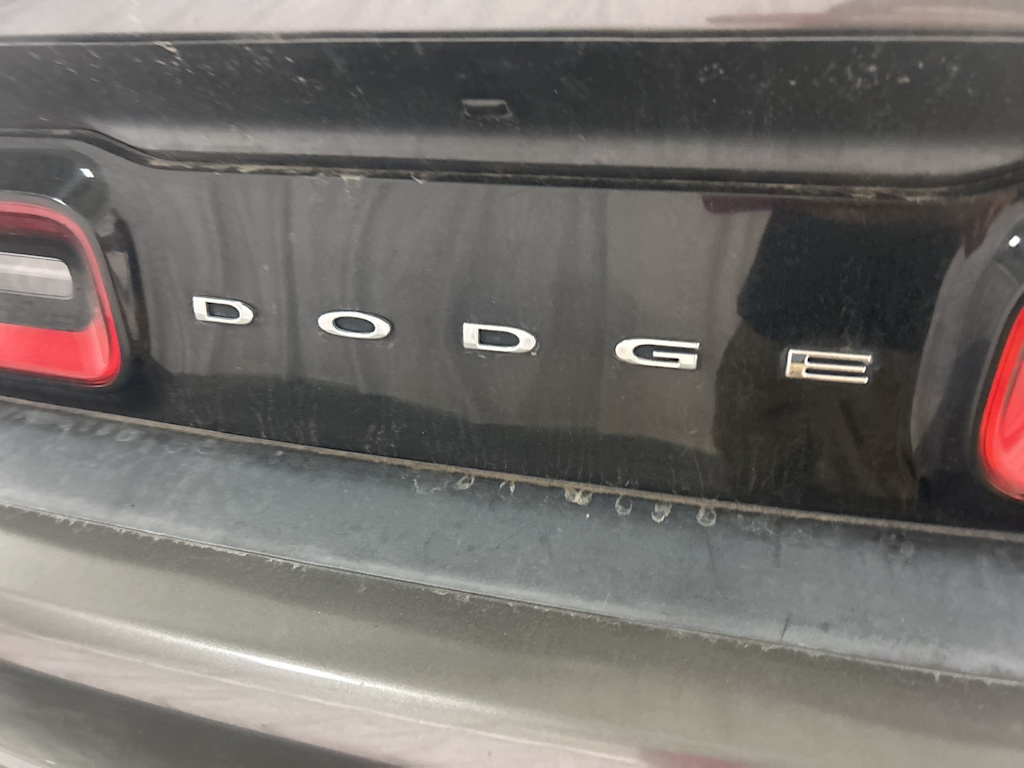 Thumbnail: 2019 Dodge Challenger - 15