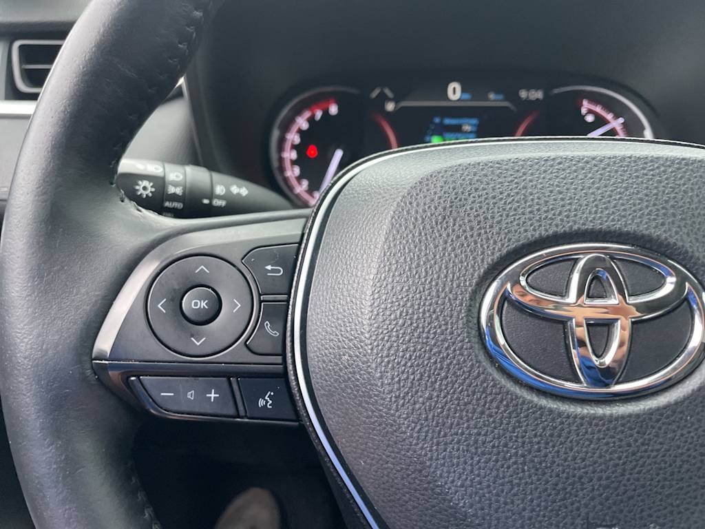 2019 Toyota RAV4 Limited 23