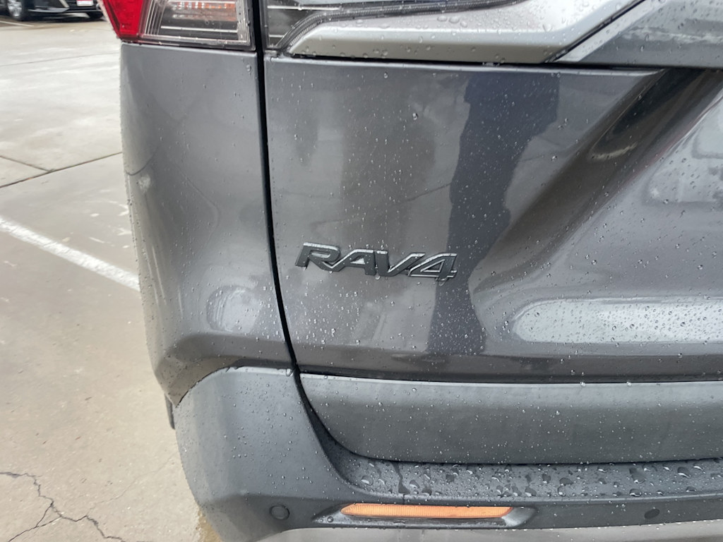 2019 Toyota RAV4 Limited 19