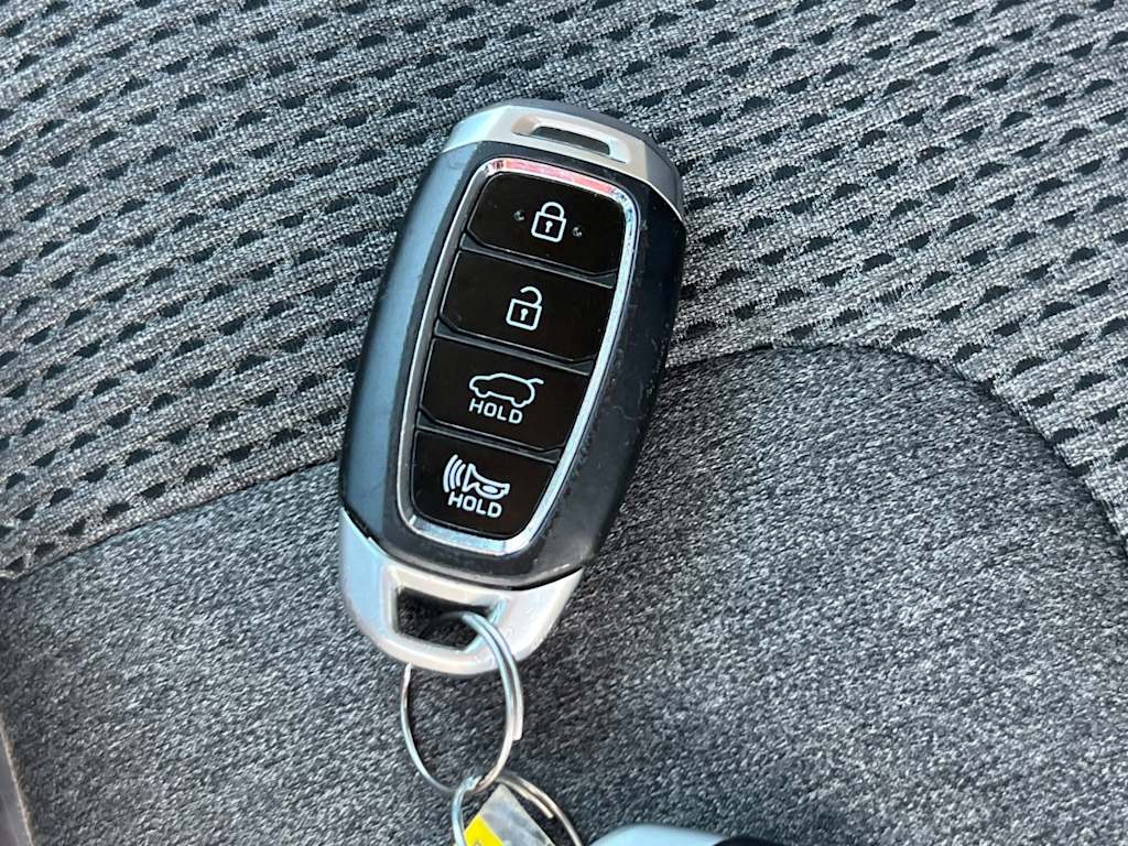 Thumbnail: 2020 Hyundai Santa Fe - 18
