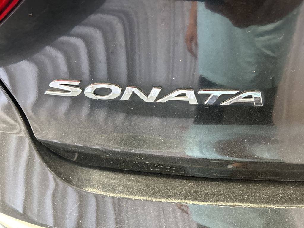 2015 Hyundai Sonata Eco 19