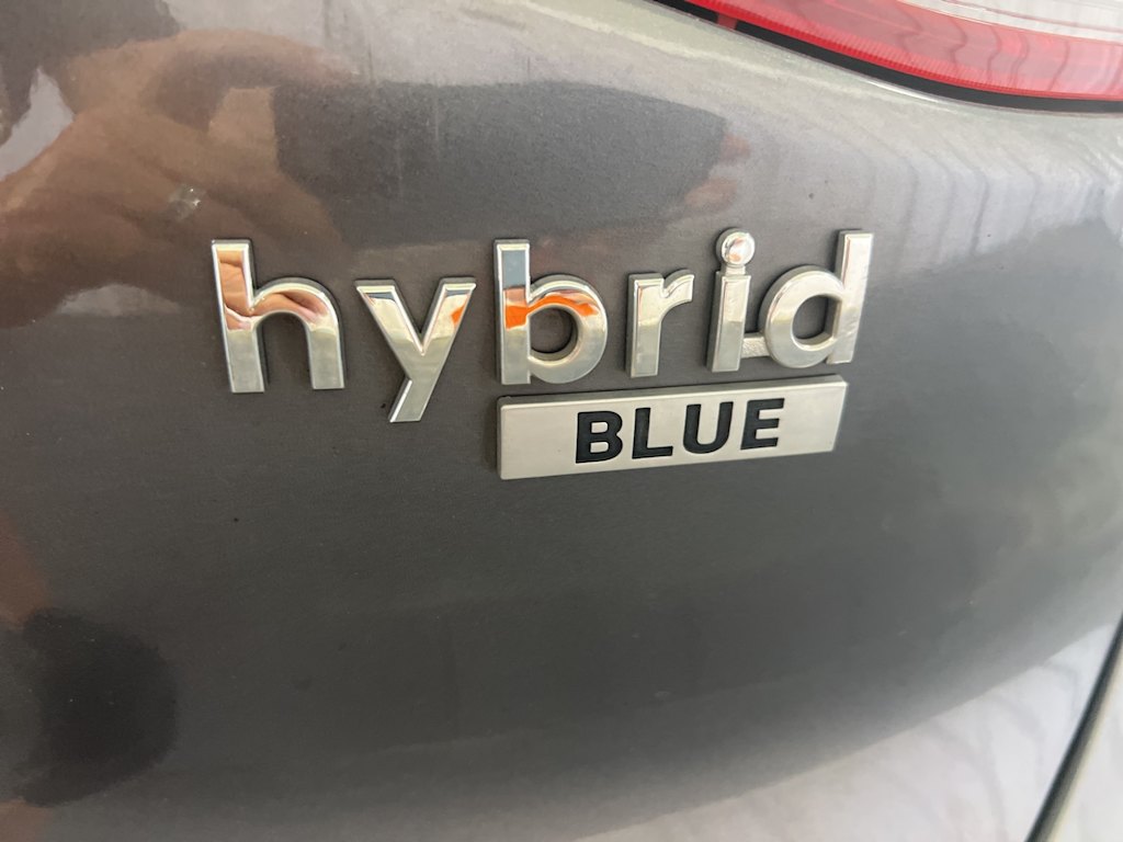 Thumbnail: 2019 Hyundai Ioniq - 20