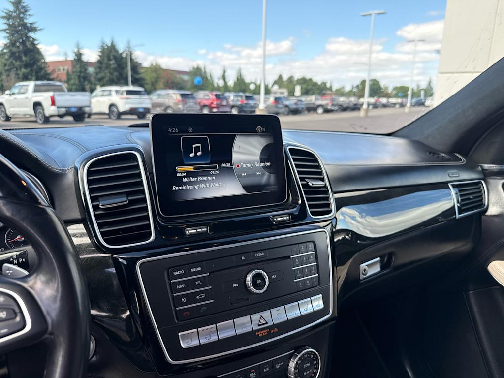 Thumbnail: 2018 Mercedes-Benz GLS - 13