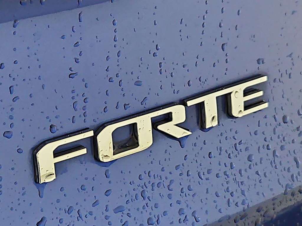 Thumbnail: 2017 Kia Forte - 25