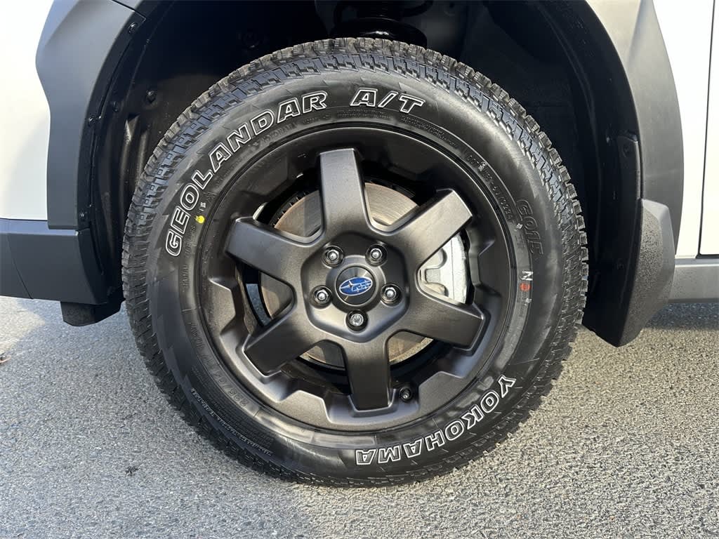 2025 Subaru Outback Wilderness 6