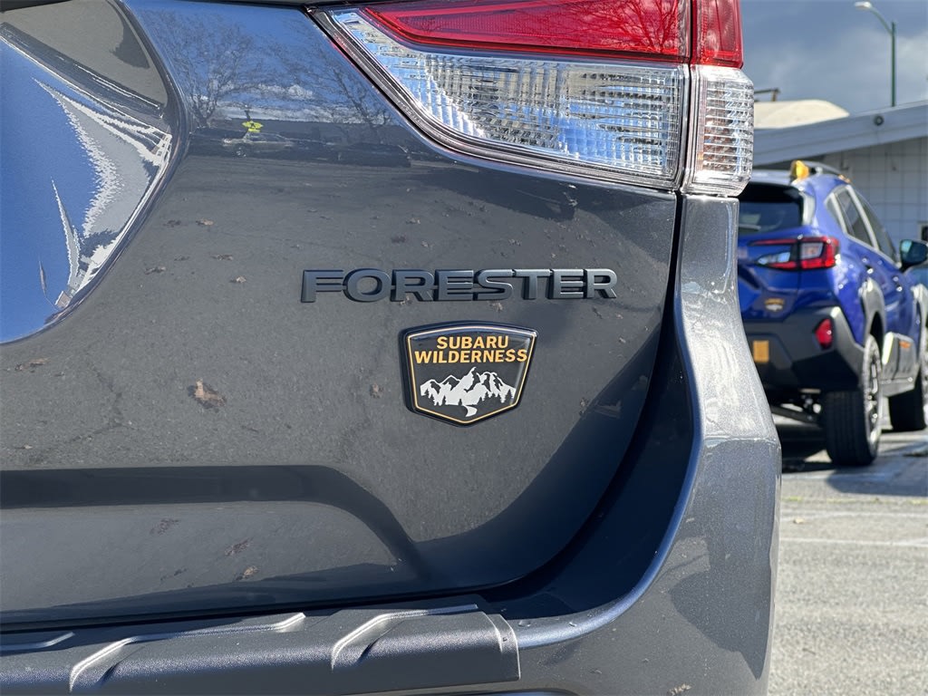 Thumbnail: 2025 Subaru Forester - 19