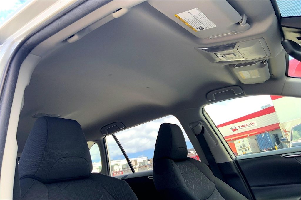Thumbnail: 2020 Toyota RAV4 - 30
