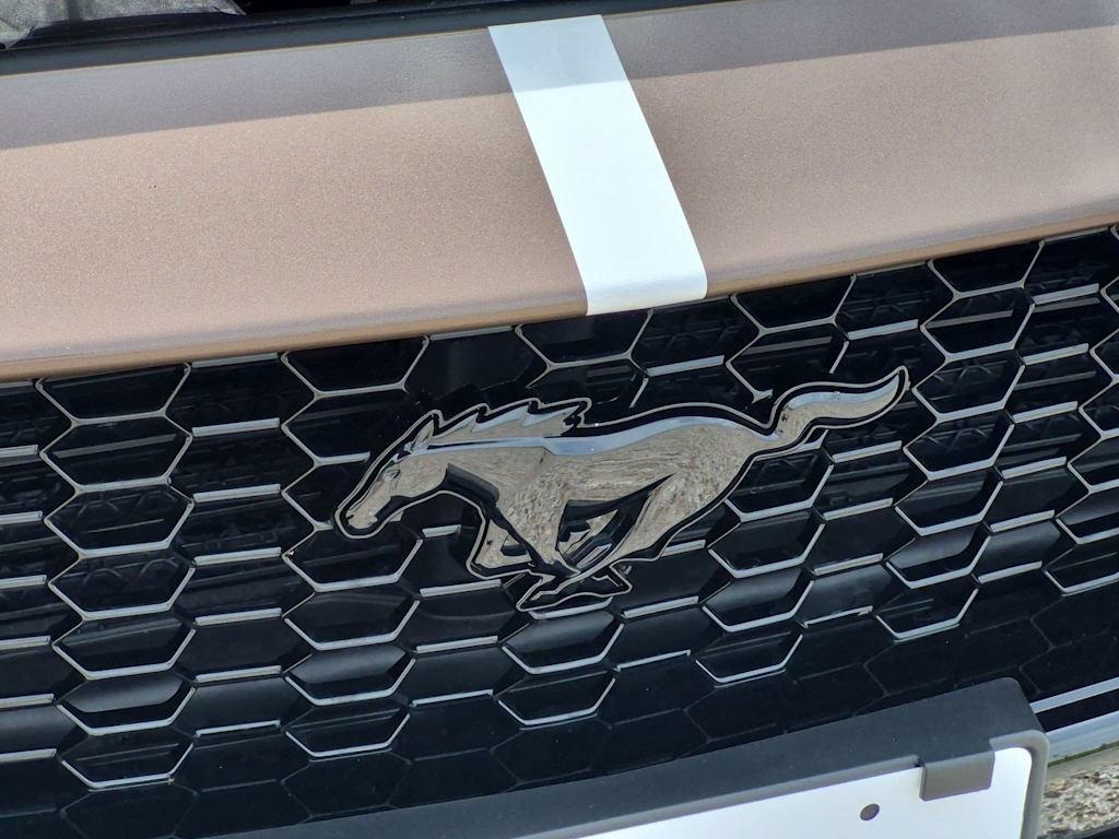 Thumbnail: 2025 Ford Mustang - 31