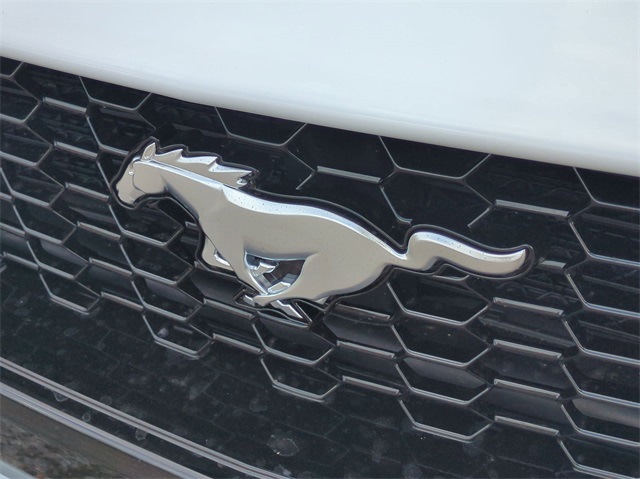 Thumbnail: 2025 Ford Mustang - 6