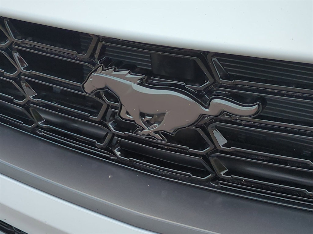 Thumbnail: 2025 Ford Mustang - 31