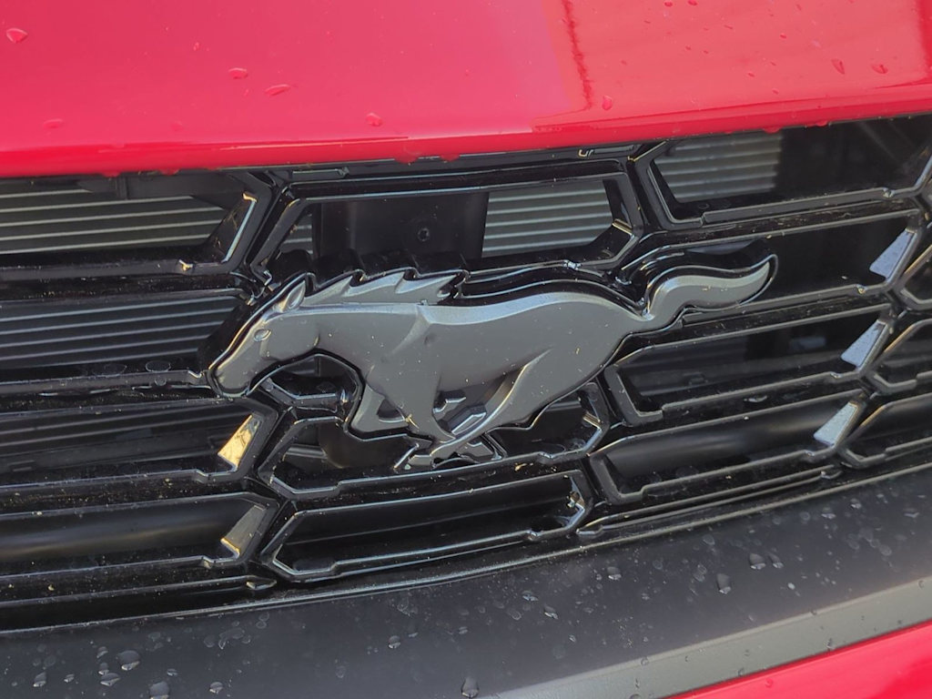 Thumbnail: 2025 Ford Mustang - 33