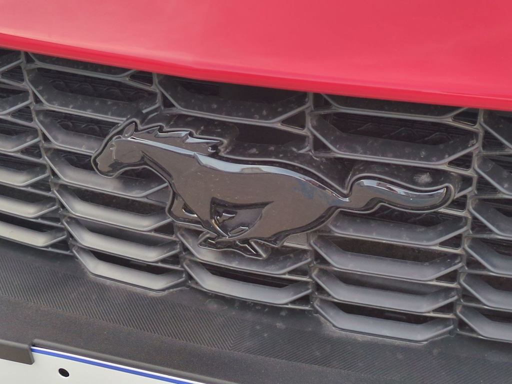 Thumbnail: 2025 Ford Mustang - 32
