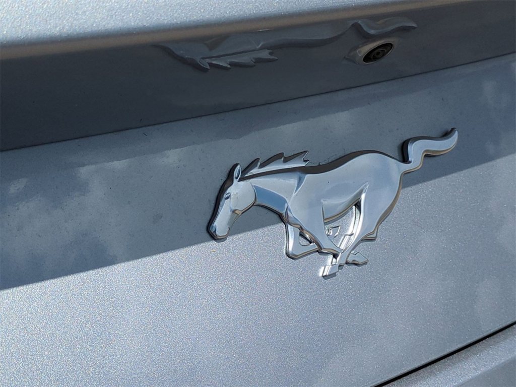 Thumbnail: 2025 Ford Mustang - 32