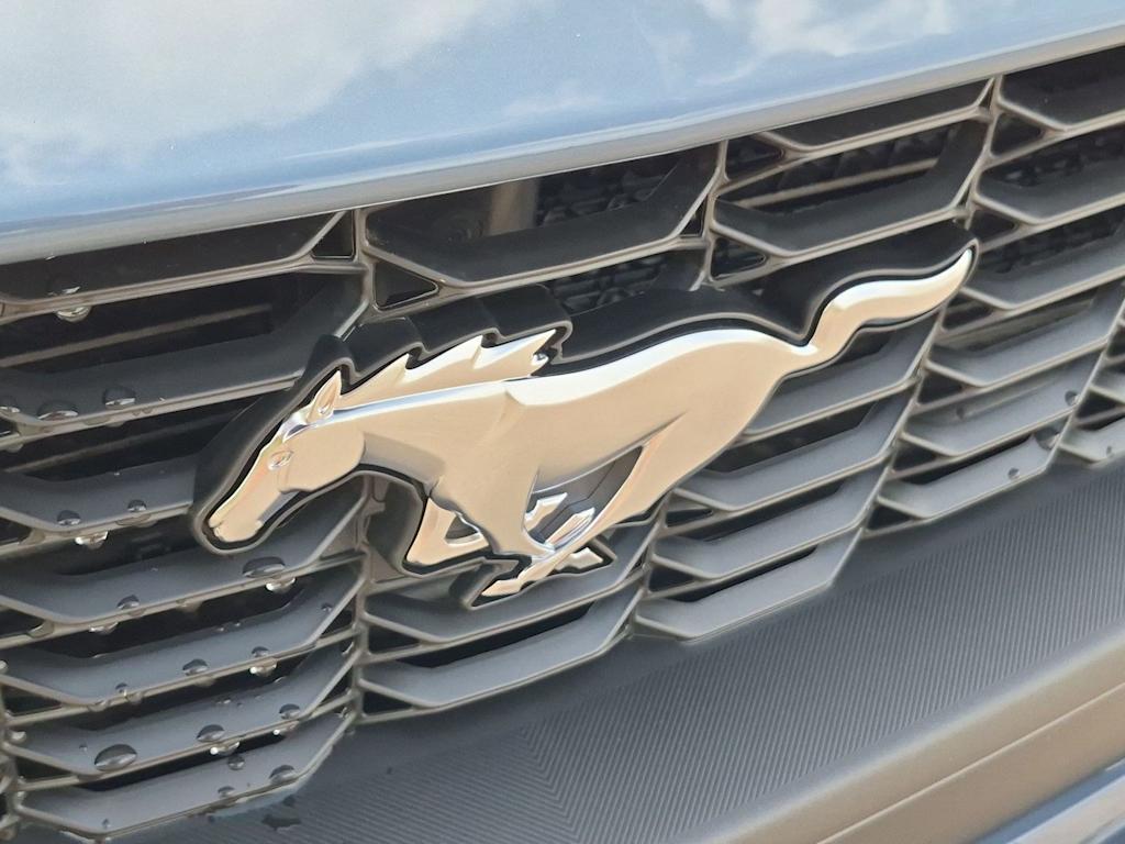 Thumbnail: 2026 Ford Mustang - 32