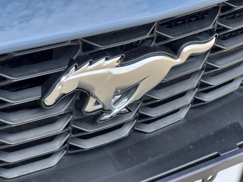 Thumbnail: 2025 Ford Mustang - 30