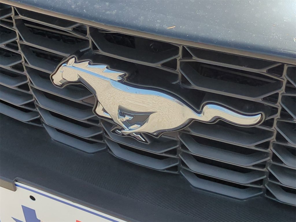 Thumbnail: 2025 Ford Mustang - 31