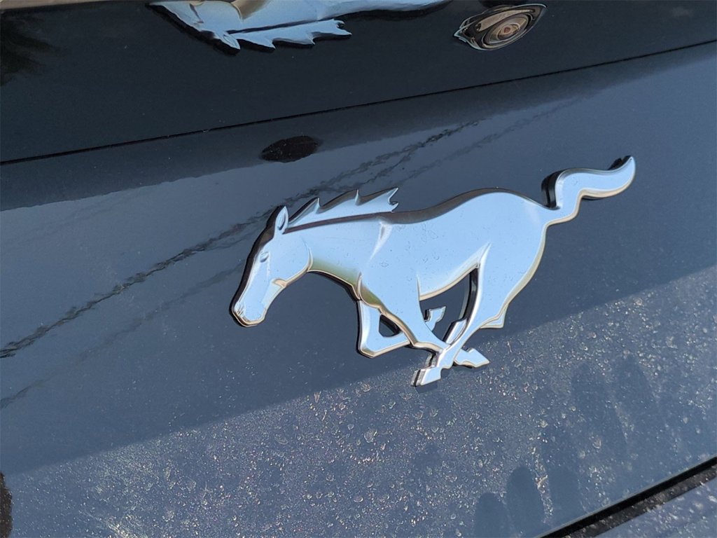 Thumbnail: 2025 Ford Mustang - 19