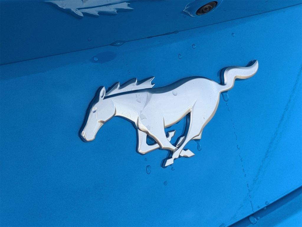 Thumbnail: 2025 Ford Mustang - 7