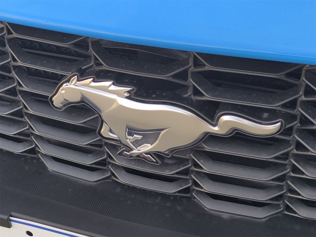 Thumbnail: 2025 Ford Mustang - 32