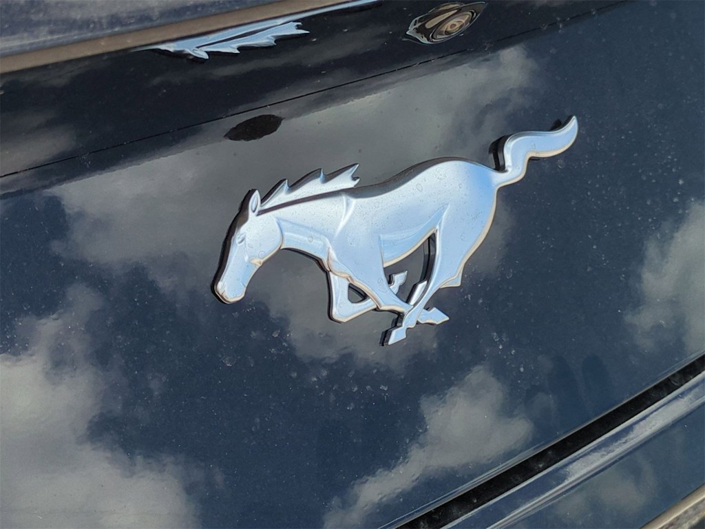 Thumbnail: 2025 Ford Mustang - 32