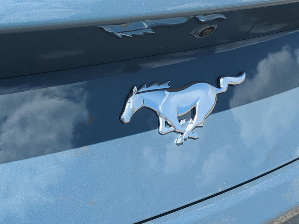 Thumbnail: 2025 Ford Mustang - 32