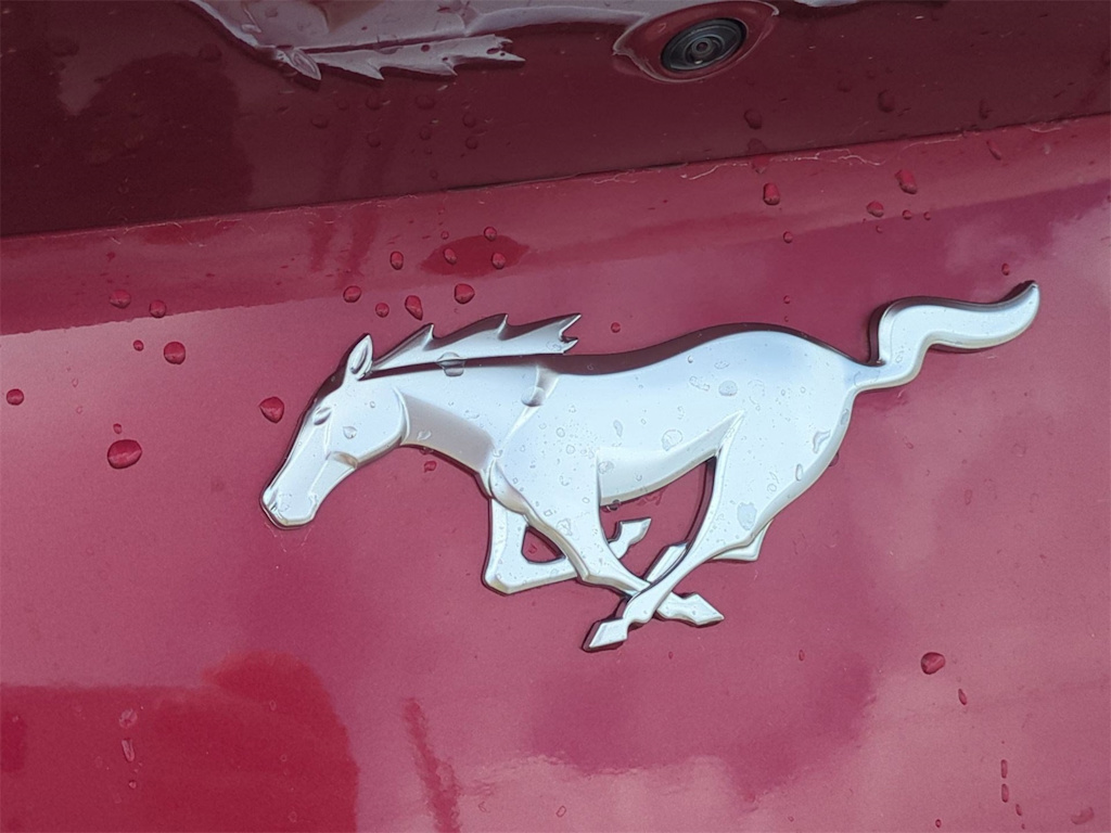 Thumbnail: 2025 Ford Mustang - 32