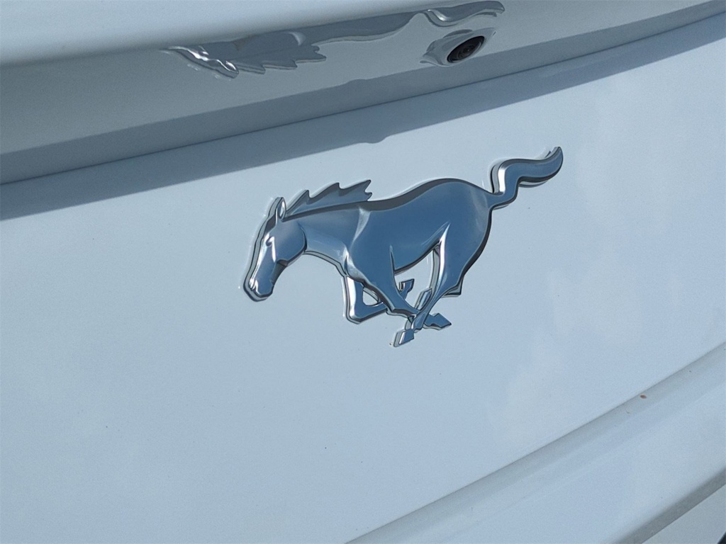 Thumbnail: 2025 Ford Mustang - 32
