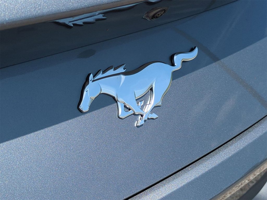 Thumbnail: 2025 Ford Mustang - 32