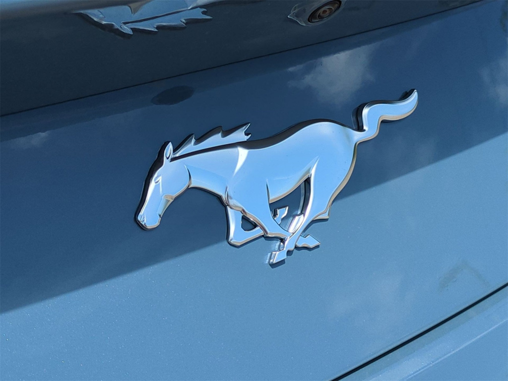 Thumbnail: 2025 Ford Mustang - 32