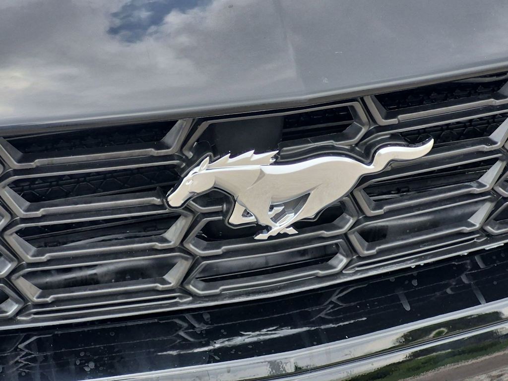 Thumbnail: 2024 Ford Mustang - 32