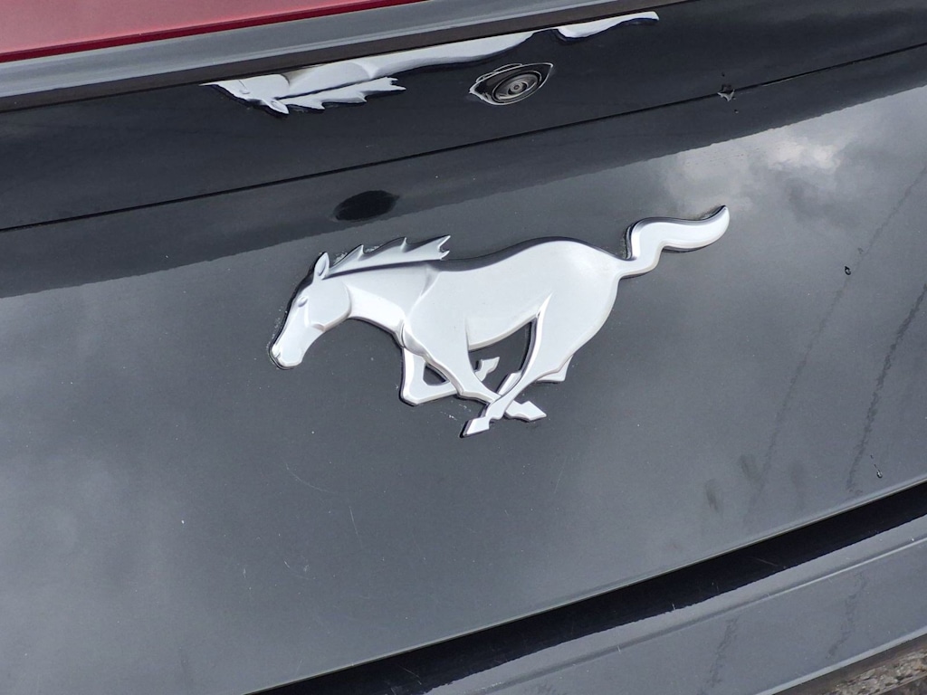 Thumbnail: 2024 Ford Mustang - 7