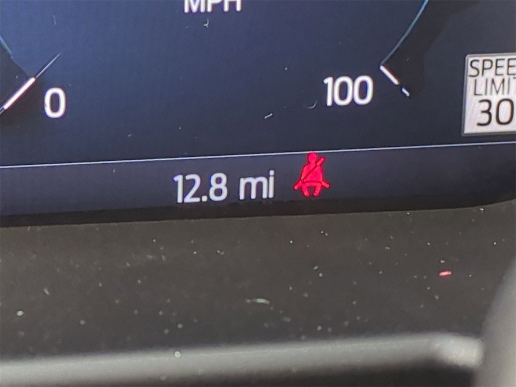 Thumbnail: 2025 Ford F-250 - 24