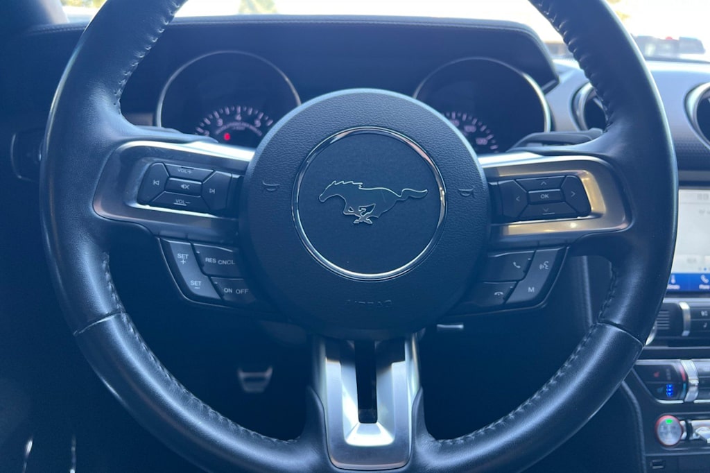 Thumbnail: 2019 Ford Mustang - 13
