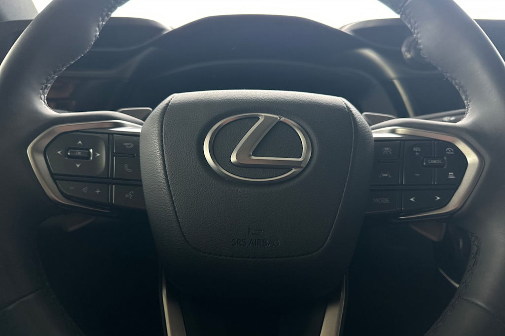 Thumbnail: 2024 Lexus RZ - 23