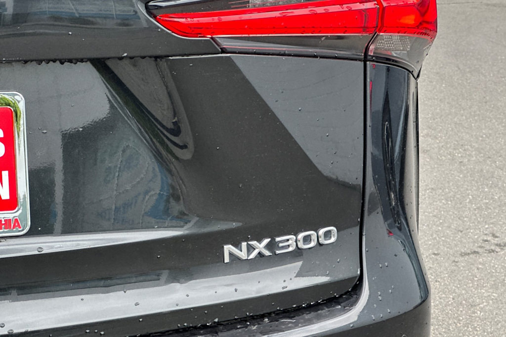 2019 Lexus NX 300 7