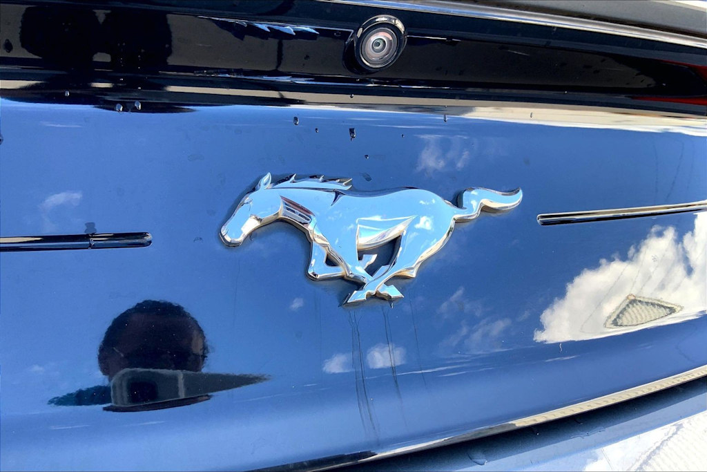 Thumbnail: 2022 Ford Mustang - 7