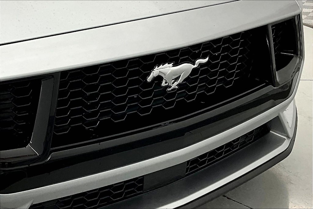 Thumbnail: 2025 Ford Mustang - 25