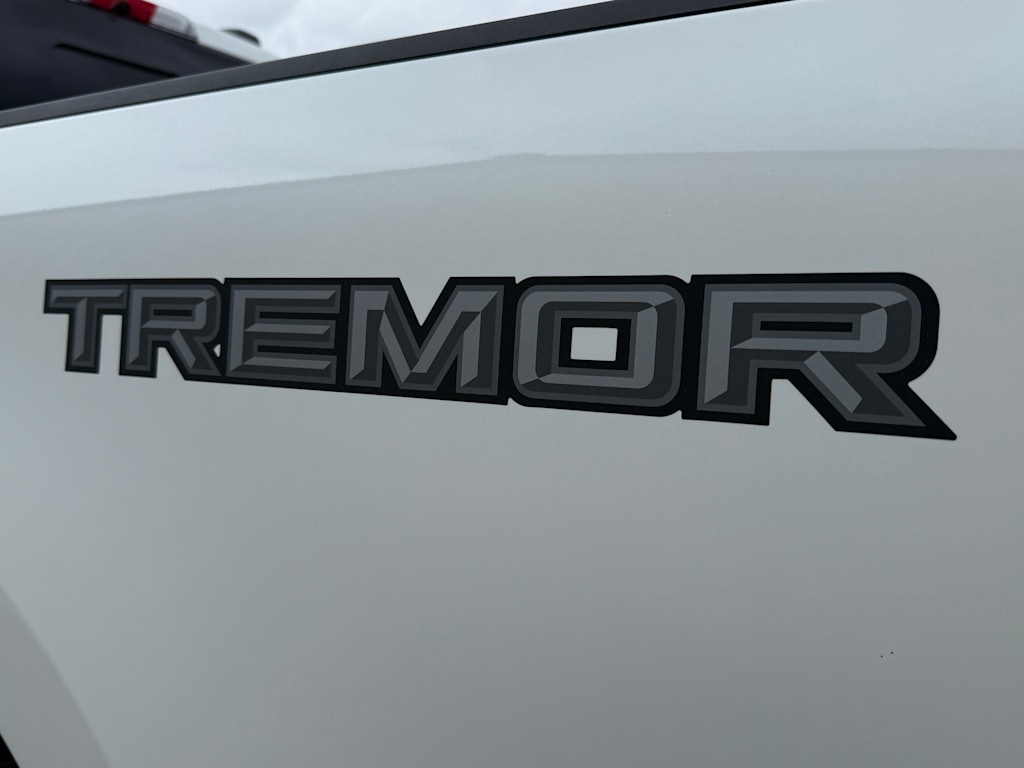 Thumbnail: 2025 Ford F-250 - 19