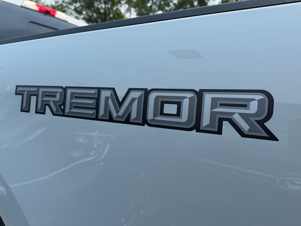Thumbnail: 2026 Ford F-250 - 20